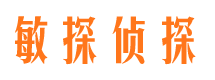 安化市私家侦探